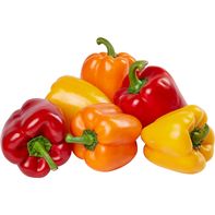 Mixed Bell Peppers, 6 ct