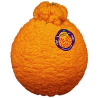 Sumo Citrus