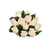 Bloom Haus Dozen Rose White