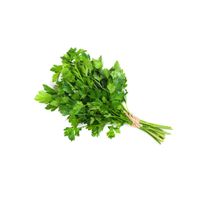 Cilantro