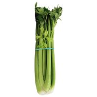 Celery Bunch