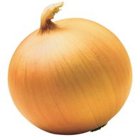 Yellow Onion