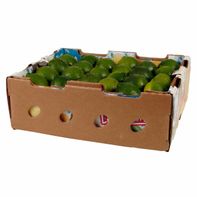 Limes