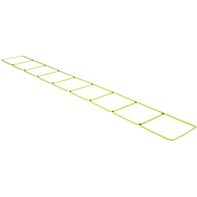 Ethos Agility Ladder