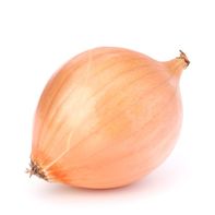 Organic Yellow Onion