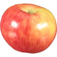 Honeycrisp Apple