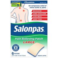 Salonpas Pain Relieving Patch Large