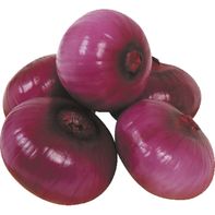 Organic Red Onion