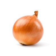 Organic Yellow Onion