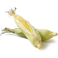 Colo-Pac Bicolor Corn