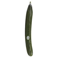 Seedless Cucumbers