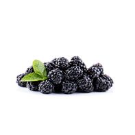 Organic Blackberries