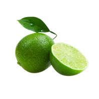 Limes