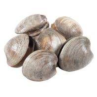 USA Wild Little Neck Clams