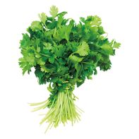 Cilantro Bunch, each