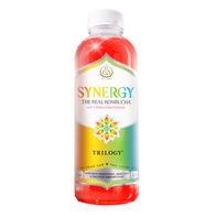 Gt's Living Foods Organic Synergy Trilogy Unpasteurized Raw Kombucha