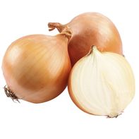 Yellow Onion