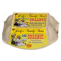 Judy's Family Farm Organic Brown Extra Large Eggs