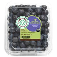 Organic Blueberries Package