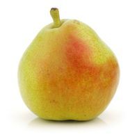 Organic D'Anjou Pear