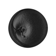 Plaque Sabbath Toothpaste