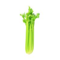 Celery Package