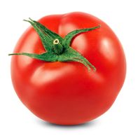 Organic Red On the Vine Tomato