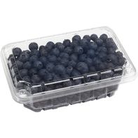 Premium Blueberries, 18 oz