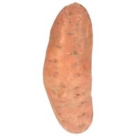 Sweet Potato (Yam)