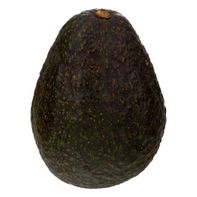 Hass Avocado