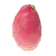 Cactus Pear