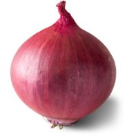Large Red Onions