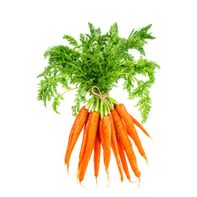Organic Carrot Bunch