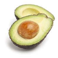 Organic Hass Avocado (Large)