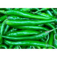Long Indian Chillies