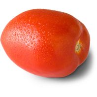Sunsweet Roma Tomato