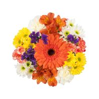 Bloom Haus™ Chic Fresh Flower Bouquet - Pink/Yellow/Green