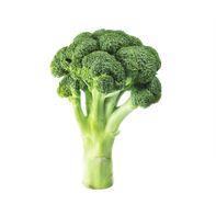 Organic Broccoli