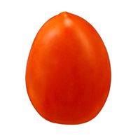 Roma Tomato