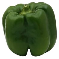 Green Bell Pepper
