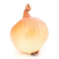 Sweet Onion