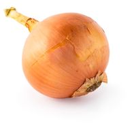 Yellow Onion