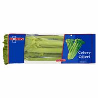 Fresh Picked Celery