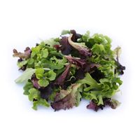 Mesclun/Spring Mix - 3 Lb