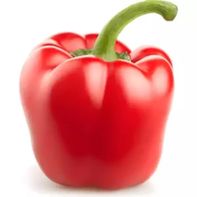 Red Bell Pepper