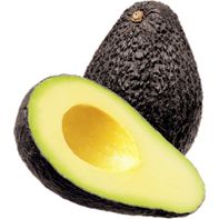 Hass Avocado
