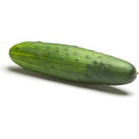 Cucumber