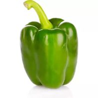 Green Bell Pepper