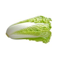 Napa Cabbage