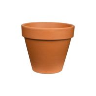 Vigoro 12 In. Medium Terra Cotta Clay Pot